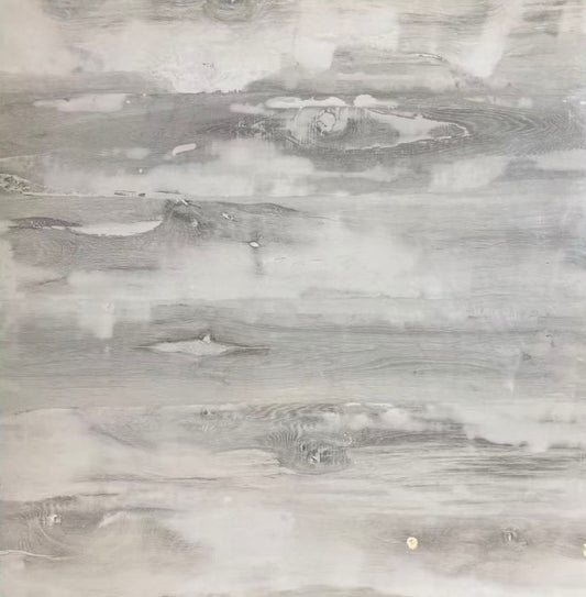 PORCELANATO TM 651 60X60