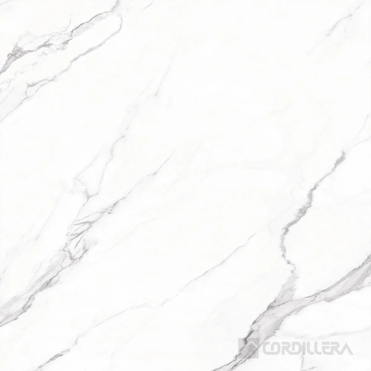 GRES CALACATA CCLCTPT16JN  60X60